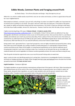 Edible Weeds and Foraging around Perth