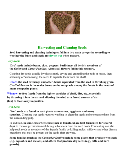 Harvesting and Cleaning Seeds