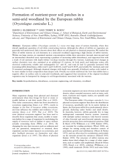 Formation of nutrient-poor soil patches in a semi