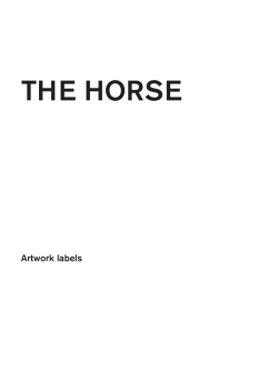 the horse
