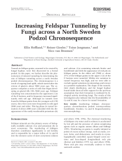 Increasing Feldspar Tunneling by Fungi across a North Sweden