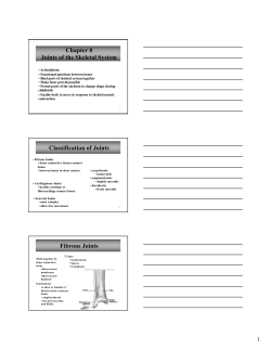 Chapter 8 Joints of the Skeletal System Classification