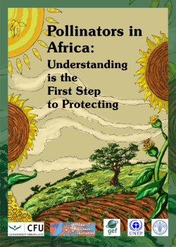 Pollinators in Africa: Understanding is the First Step to