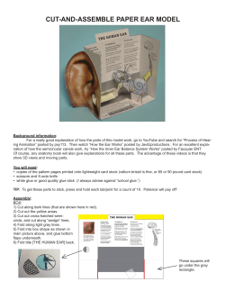 cut-and-assemble paper ear model