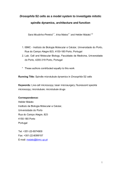 Analysis of Mitotic Spindle Dynamics and Function