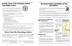 Specific Goals of the Onondaga Nation Land Rights Action