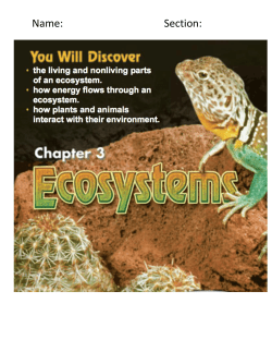 Chapter 3 Packet