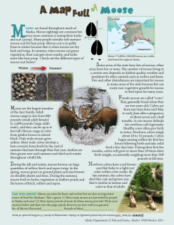 Moose fact sheet - Bear Trust International