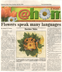 Flowers speak many languages m