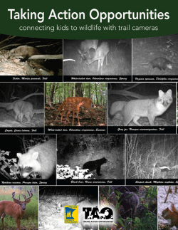 Taking Action Opportunities - MN-dnr