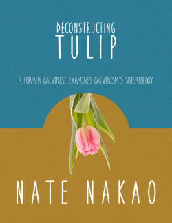 Deconstructing TULIP