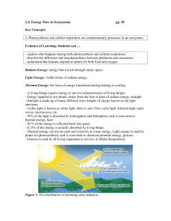 Ch 2.4 Energy Flow in Ecosystems
