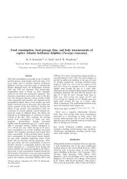 Food consumption, food passage time, and body measurements of
