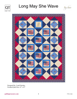 Long May She Wave - Quilting Treasures
