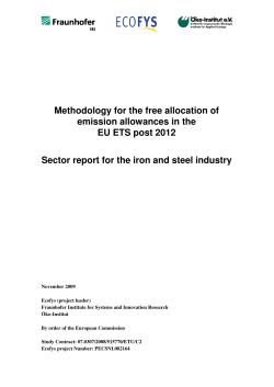 Sector report iron and steel - European Commission