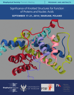 Significance of Knotted Structures for Function of Proteins and