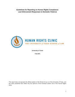 Law Enforcement Responses to Domestic Violence
