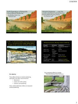 Depth-Dependence of Biologically Forced Mineral Weathering