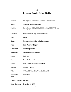 Bravery Beads Color Guide