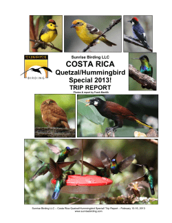 Special - Sunrise Birding