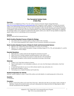 The Terrestrial Carbon Cycle: A Role-Play