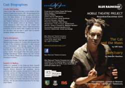 The Cat and the Moon Sanctuary - Blue Raincoat Theatre Company