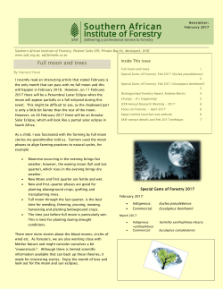 Full moon and trees - Southern African Institute of Forestry