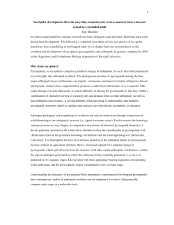 Sea Spider development: How the encysting