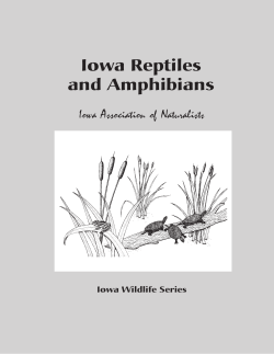 Iowa Wildlife Series - Iowa Reptiles and Amphibians