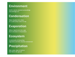 Environment Condensation Evaporation Ecosystem Precipitation