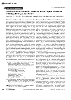 Molecular Sieve Membrane - Group of membrane catalysis and new