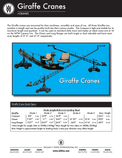 Giraffe Cranes