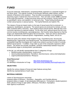 Fungi are eukaryotic, heterotrophic, nonphotosynthetic organisms in