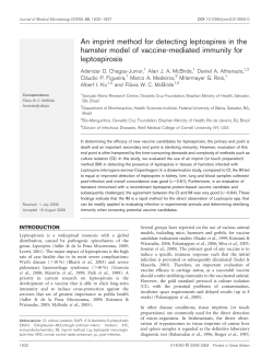 An imprint method for detecting leptospires in the - Arca