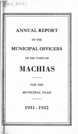 annual town report