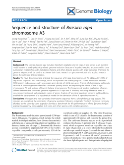 Sequence and structure of Brassica rapachromosome A3