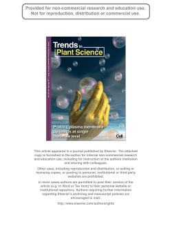 here - Texas Tech University Departments