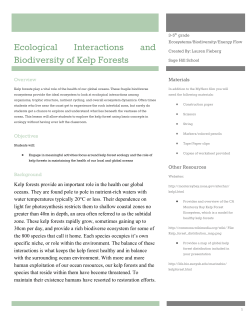 Ecological Interactions and Biodiversity of Kelp Forests