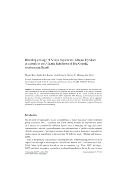 Breeding ecology of Scinax trapicheiroi