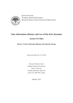 Noisy Information, Distance and Law of One Price Dynamics Across