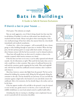 Bats in Buildings - Bat Conservation International