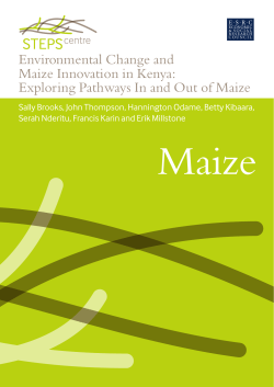 Environmental Change and Maize Innovation in Kenya