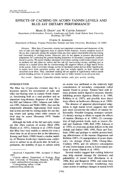 Effects of Caching on Acorn Tannin Levels and Blue Jay Dietary