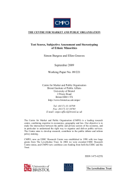 Test Scores, Subjective Assessment and Stereotyping of Ethnic