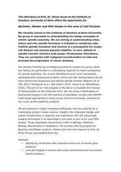Bachelor, Master and PhD theses in the area of Cell Division