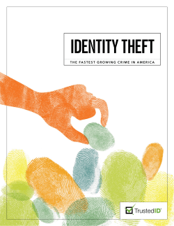 Identity Theft: The Information
