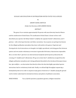 Ecology And Evolution Of Southeastern United States Yucca Species