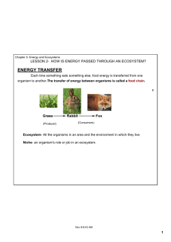 Ch 3 Lesson 2 Energy Transfer