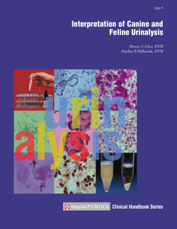 Interpretation of Canine and Feline Urinalysis