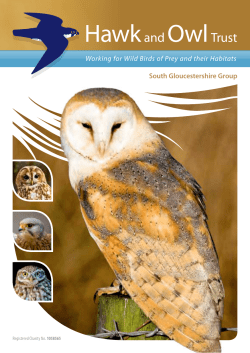 Hawk and Owl Trust